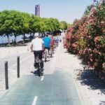 Seville Bike Tour Following the Guadalquivir River - Scenic Stops in Seville’s Parks and Gardens