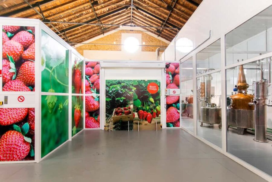 Seville, Carmona: Puerto de Indias Distillery tour with gin tasting - Exploring the Origins of Puerto de Indias Gin