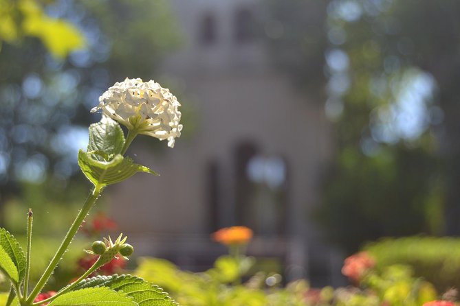 Seville Cartuja Monastery private visit - The Unique Charm of the Cartuja Monastery in Seville