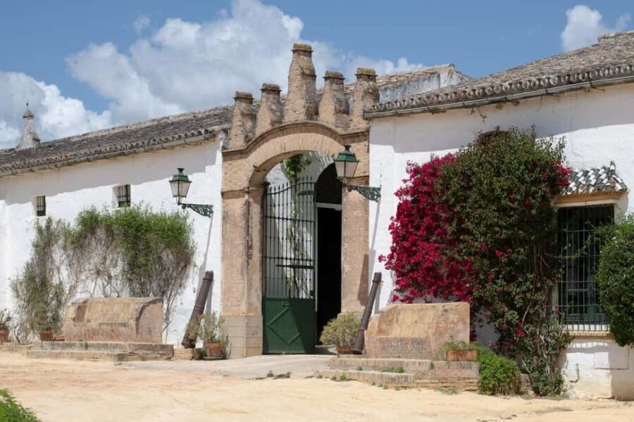 Seville: Check out Bodegas Góngora - The Origin and History of Bodegas Góngora