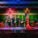 Seville: Flamenco at El Palacio Andaluz with Optional Dinner - The Passionate Flamenco Show You Can Count On
