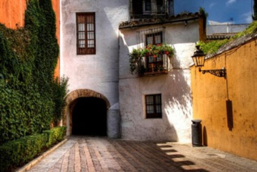 Seville Jewish Heritage Tour - Exploring the Santa Cruz Neighborhood’s Charm