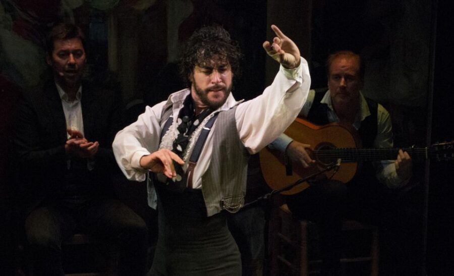 Seville: Live Flamenco Show at "Teatro Flamenco Triana" - The Passionate Performers Behind the Show