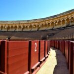 Seville: Plaza de Toros and Barrio Santa Cruz Tour - The Guides Role and Tour Pacing