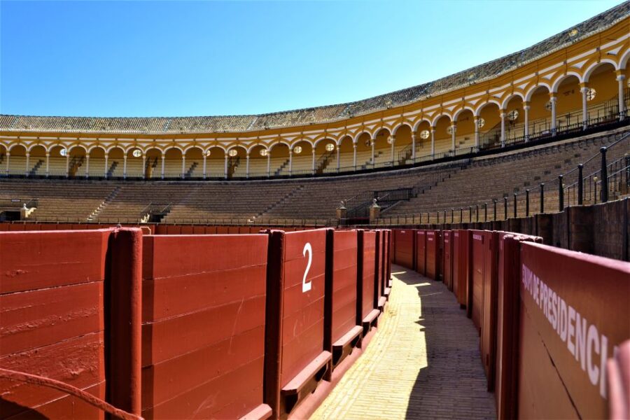Seville: Plaza de Toros and Barrio Santa Cruz Tour - The Guides Role and Tour Pacing
