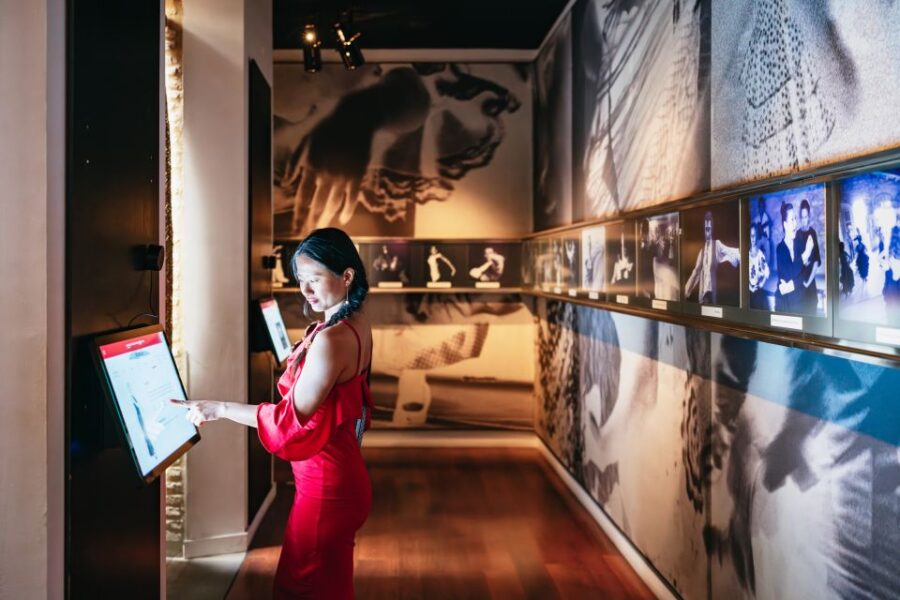 Seville: Puro Flamenco Show with Optional Museum Ticket - The Performers: Talented Dancers, Singers, and Guitarists