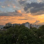 Seville: Rooftop Terrace with Panoramic Views - How to Access the Rooftop Terrace in Central Seville