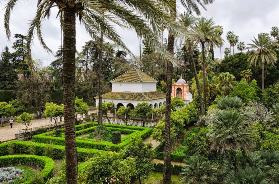 Seville: Small-Group Alcázar Guided Tour & Entry Ticket - Starting Point at Plaza del Triunfo and Meeting Details