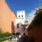 Seville: Tiny-Group Medieval Quarter Discovery Walking Tour - Exploring Santa Cruz’s Narrow Streets and Picturesque Plazas
