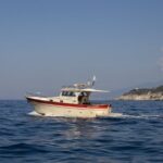 Shared capri tour ,swimming and visit of many caves - Starting Point and Easy Pickup Service in Sorrento