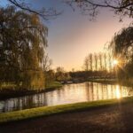 Shared Guided Punting Tour of Cambridge - What to Expect During the 45-Minute Punting Experience