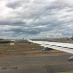 Shared Transfer From Civitavecchia Port to Rome - Punctuality and Professionalism of Drivers