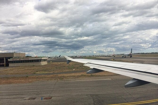 Shared Transfer From Civitavecchia Port to Rome - Punctuality and Professionalism of Drivers