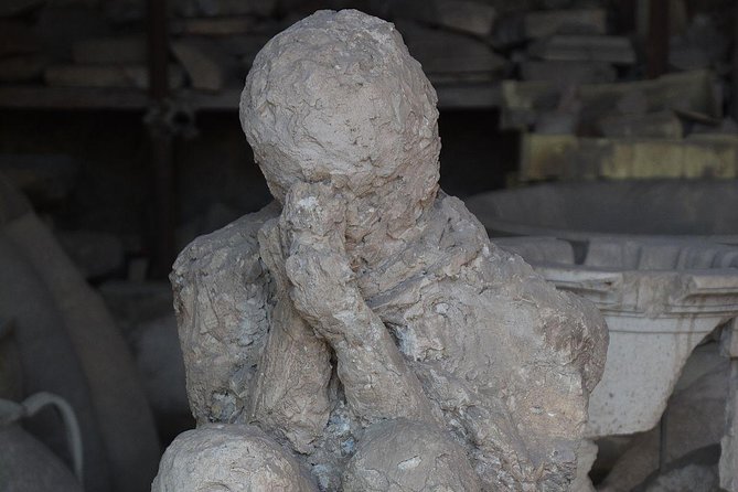 Shore excursion Guided Tour of Pompeii Ruins and Sorrento with a Farmhouse Lunch - Skip-the-Line Entrance and Guided Tour of Pompeii