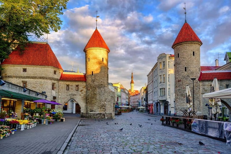 Shore Excursion in Tallinn - Exploring Toompea Castle and the Estonian Parliament