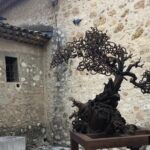 Shore Excursion Private Tour from Cannes - Meet Your Guide at the Cannes Cruise Port