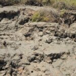 Short boat trip of the Algarve's Ria Formosa lagoon from Faro: 1 hour - Starting Point at Faro’s Nautical Club for Easy Access