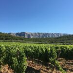 Short Day Tour around Aix en Provence and Wine Tasting - Guided Departure and Hassle-Free Transport from Marseille