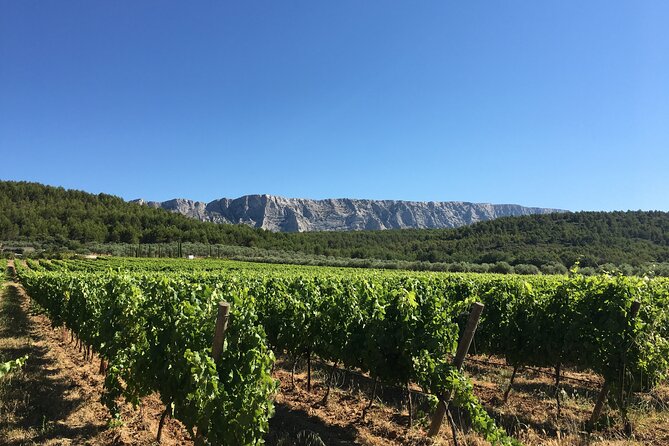 Short Day Tour around Aix en Provence and Wine Tasting - Guided Departure and Hassle-Free Transport from Marseille