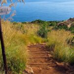 Shuttle Bus Riserva dello Zingaro - Booking Tips and Availability Insights