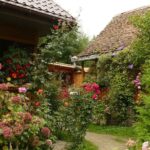 Sibiu Day Trip from Brasov - Exploring the Oldest Water Mill in Fagaras