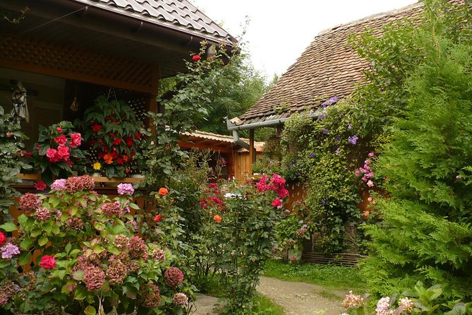 Sibiu Day Trip from Brasov - Exploring the Oldest Water Mill in Fagaras