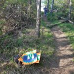 Sibiu panorama by evening, tour of Gusterita Hill - Trekking Through Gusterita Hill’s Forest Trails