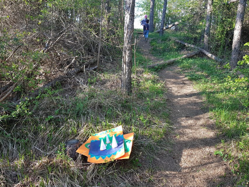 Sibiu panorama by evening, tour of Gusterita Hill - Trekking Through Gusterita Hill’s Forest Trails