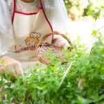 Sicilian Dining Experience with Views in Taormina - The Traditional 3-Course Sicilian Meal