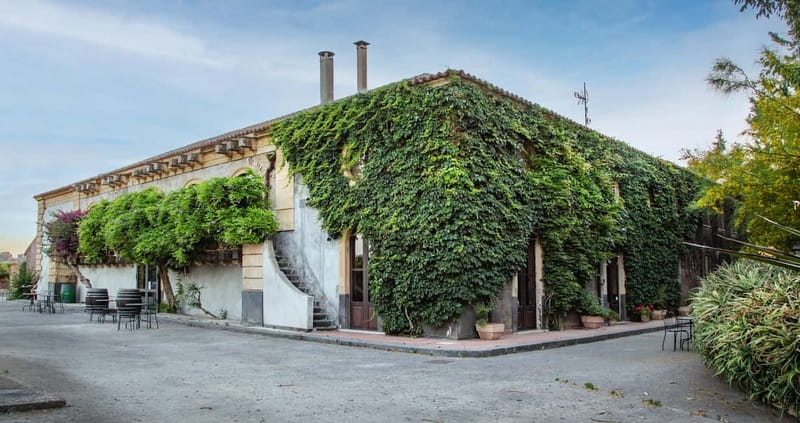 Sicilian Soul: Winery Tour, Wine & Food Tasting in Catania - Exploring the Historic Palmento at Tenuta del Gelso