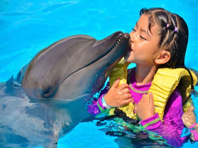 Side/Alanya: Swimming with Dolphins and Dolphin Show - Location and Access: From Hotels to Marine Encounters
