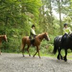 Side: Horse Riding Experience with Pony Option - The Route: From Forest Trails to Beachfront