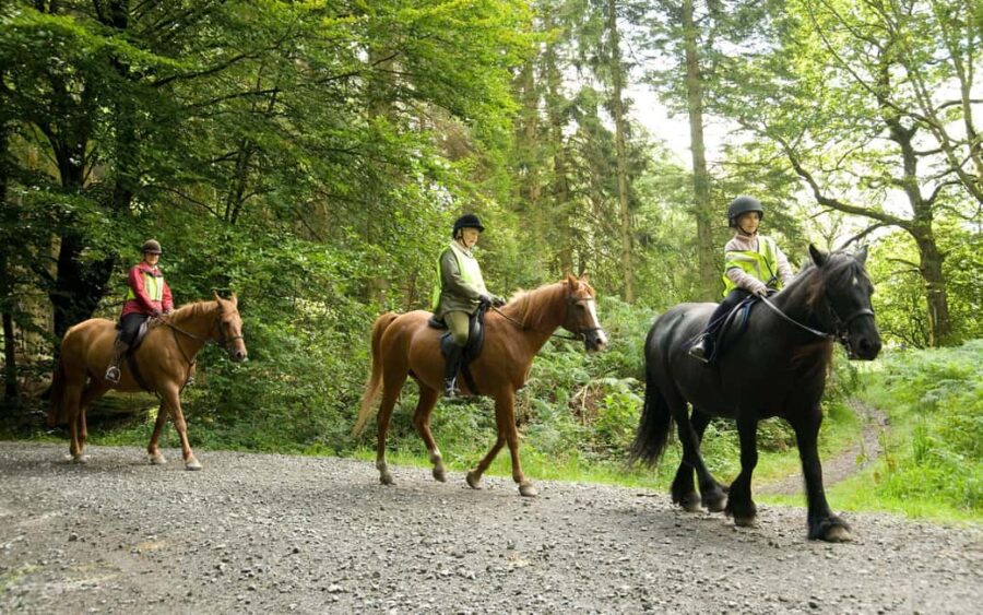 Side: Horse Riding Experience with Pony Option - The Route: From Forest Trails to Beachfront