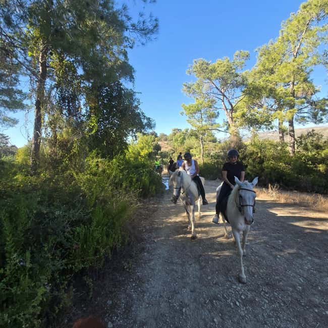 Side: Horse Safari and Family Activity Park Entry - What to Expect During the Horse Riding Experience