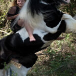 Side: Horse Safari Tour - Meeting Point and Hotel Pickup in Side