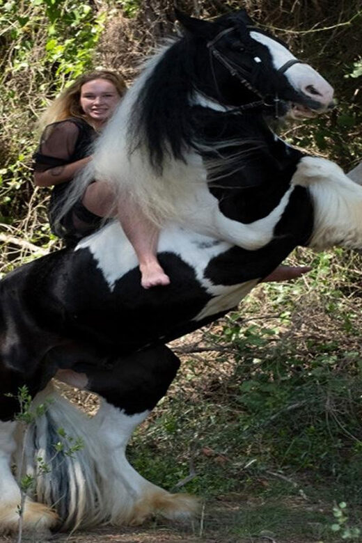 Side: Horse Safari Tour - Meeting Point and Hotel Pickup in Side