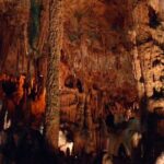 Side Sapadere Canyon Tour With Free Time In Alanya And Lunch - Exploring Sapadere Canyon: Walking, Waterfalls, and Wildlife