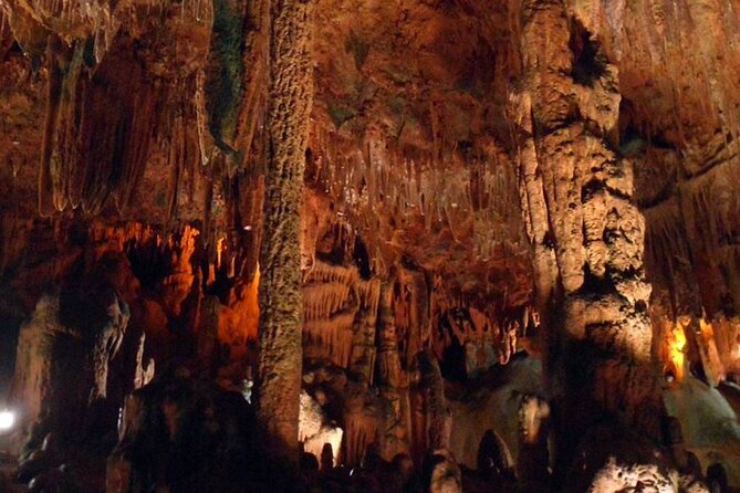 Side Sapadere Canyon Tour With Free Time In Alanya And Lunch - Exploring Sapadere Canyon: Walking, Waterfalls, and Wildlife