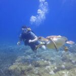 Side: Scuba Diving Under Water Museum - What the Diving Involves