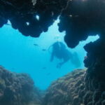 Side: Scuba Diving, Underwater Museum, 2 Dives incl. Lunch - Underwater Museum and Marine Life Encounters