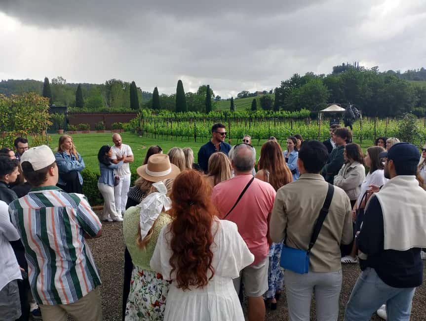 Siena: Chianti Half Day Small Group Tour - Comparing Similar Experiences
