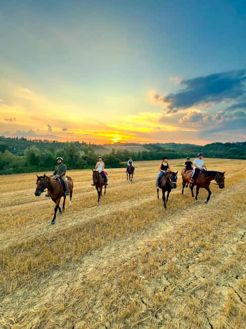 Siena: Horseback Riding with Siena in the background - Riding Through Chianti and Crete Senesi Landscapes