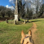 Siena: Horseback Tour on the Via Francigena - Starting Point and Meeting Logistics in Siena