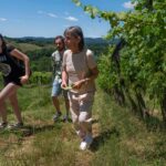 Siena: Organic Winery Tour and Wine Tasting - Exploring the Organic Vineyard and Its Environment