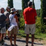 Siena: Winery tour/tasting with owner/maker of awarded wines - The Private Estate and Vineyard Surroundings