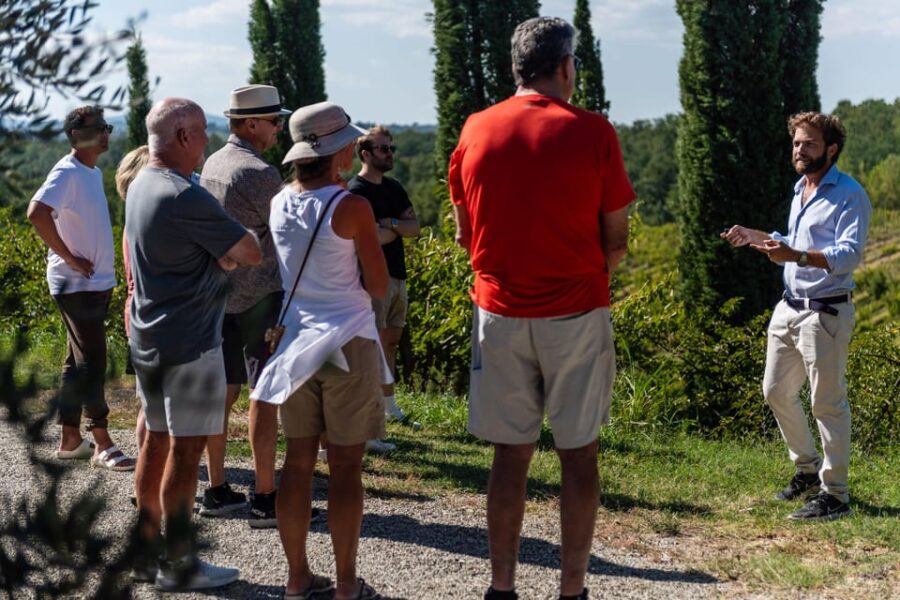 Siena: Winery tour/tasting with owner/maker of awarded wines - The Private Estate and Vineyard Surroundings