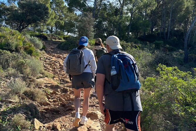 Sierra de Tramuntana hike with transportation and small picnic - Discovering the Dry Stone Route on Foot
