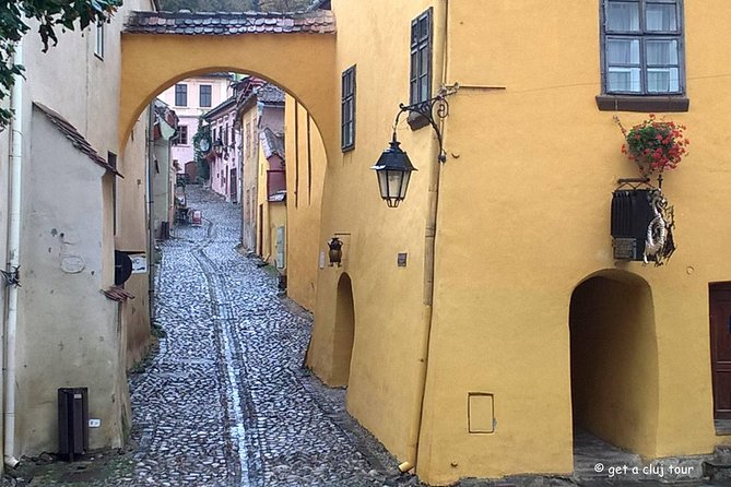 Sighisoara, UNESCO & wine tasting (1 day, from Cluj) - Starting at Cluj-Napoca for a Scenic Drive into Transylvania