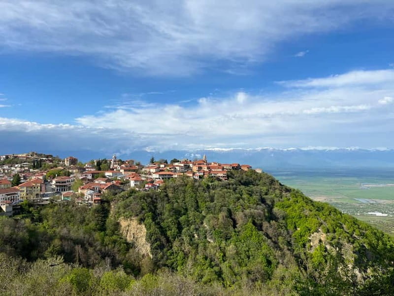 Sighnaghi Day Trip with wine tasting and Bodbe Monastery - Visiting Bodbe Monastery: Georgia’s Spiritual Heart