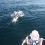 Sighting Dolphin Trip Estepona, Marbella - Coastal Views and Scenic Cruising from Estepona Harbor